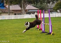 Jo_Maggie_Jumps_011