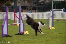 Jo_Maggie_Jumps_021