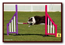 Jo_Maggie_Jumps_050