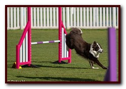 Jo_Maggie_Jumps_056