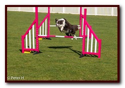 Jo_Maggie_Jumps_066