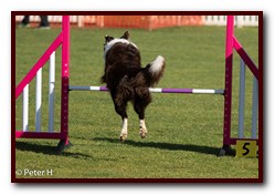 Jo_Maggie_Jumps_071