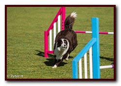 Jo_Maggie_Jumps_075